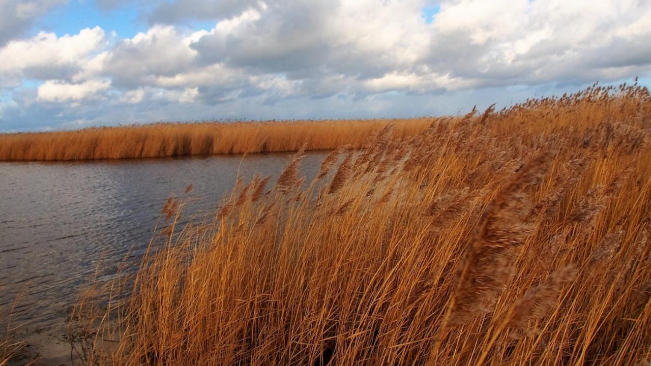 Emilias Hues, Reethaus In Der Bucht Von Wismar Zierow Exterior photo